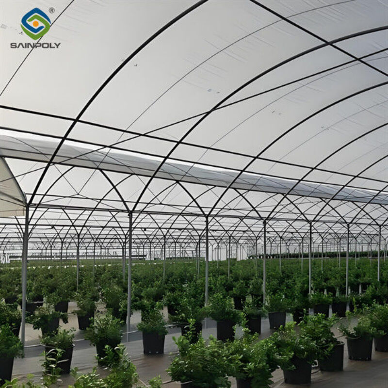 Simple Design Easy To Install Blueberry Greenhouse With Electric Manual Systems