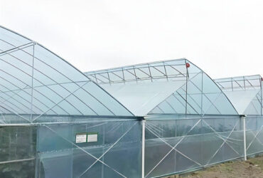 Simple Multi Span Commercial Gothic Type Greenhouse Wind Resistance