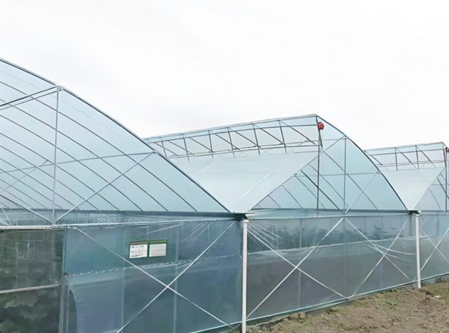 Simple Multi Span Commercial Gothic Type Greenhouse Wind Resistance