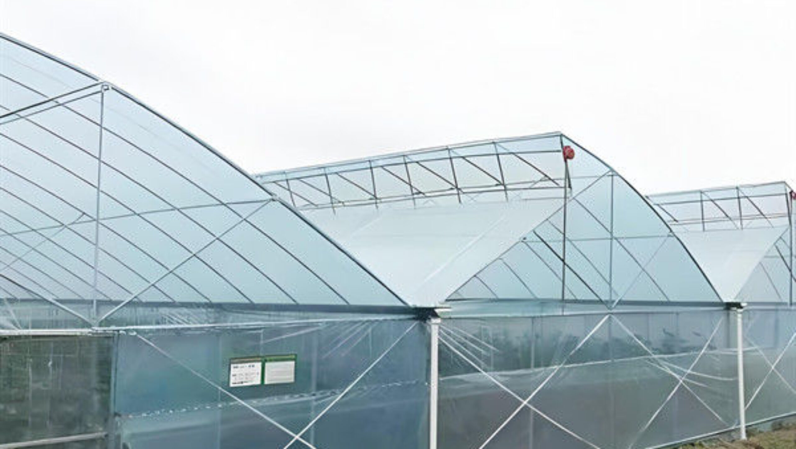 Simple Multi Span Commercial Gothic Type Greenhouse Wind Resistance