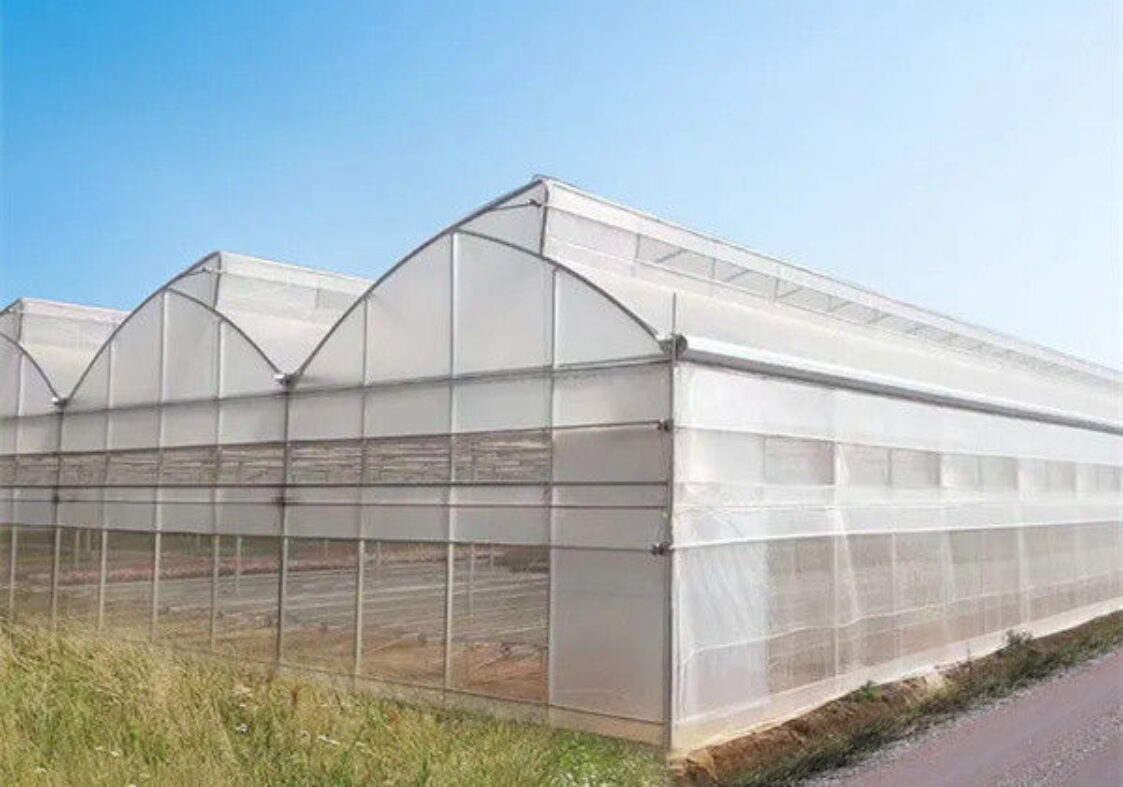 Simple Multi Span Commercial Gothic Type Greenhouse Wind Resistance