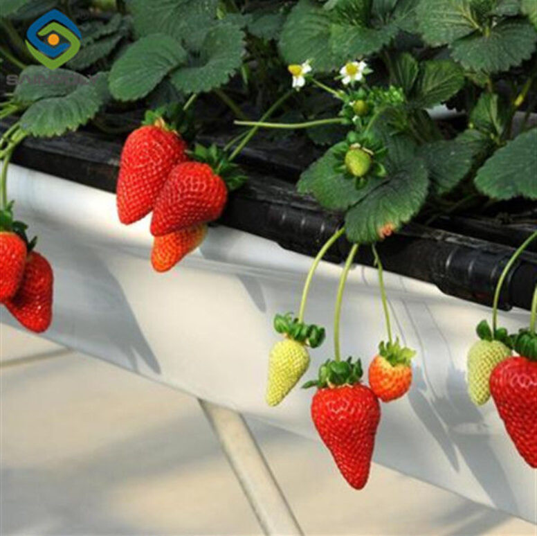 Single Span Commercial Greenhouse Kits Plastic Film Tunnel Greenhouse Stable Structure