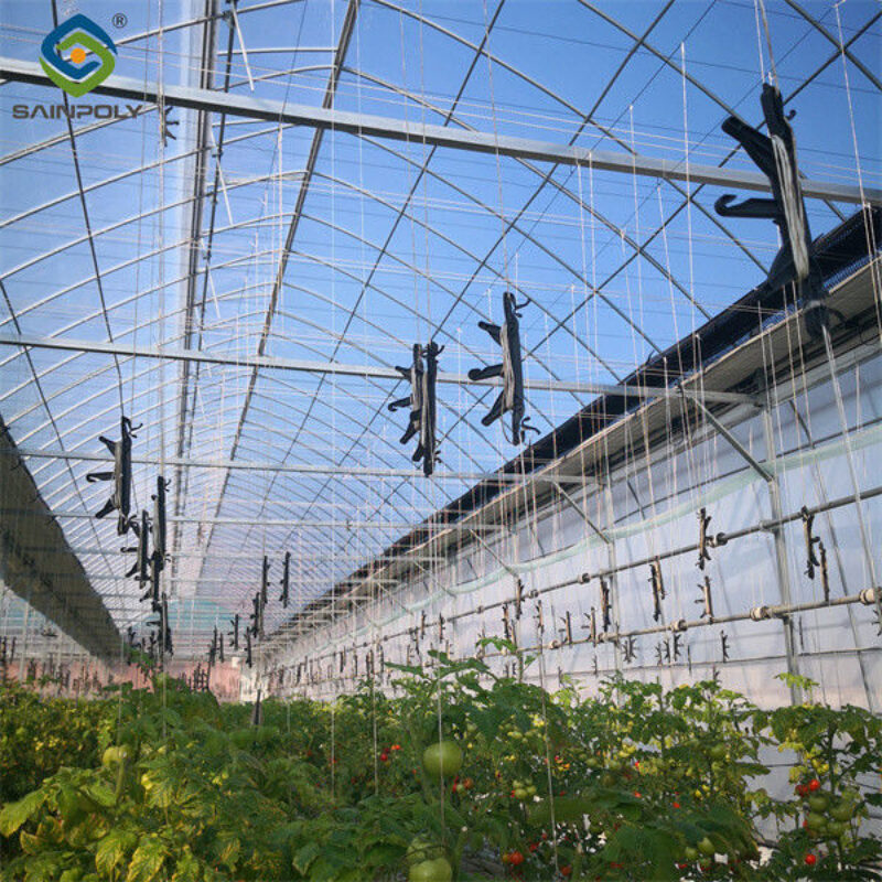 Single Span Tomato Greenhouse Hydroponics Growing Large Glass Green Houses
