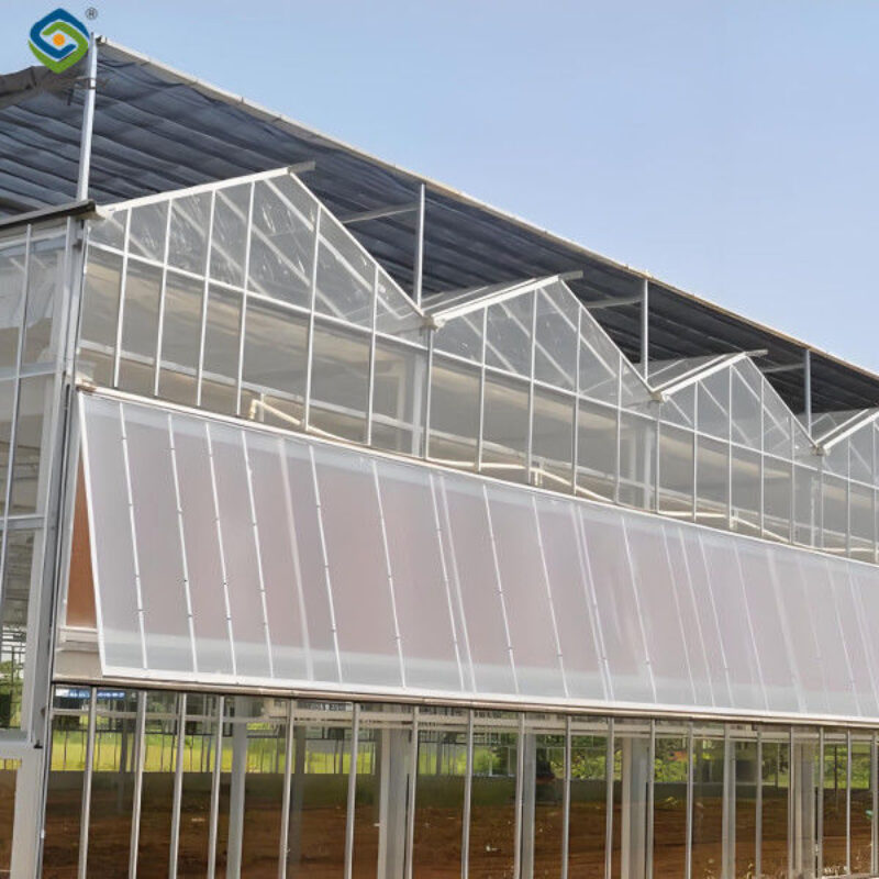 Smart Multi Span Venlo Glass Greenhouse Solar Photovoltaic Greenhouses Fruit Planting