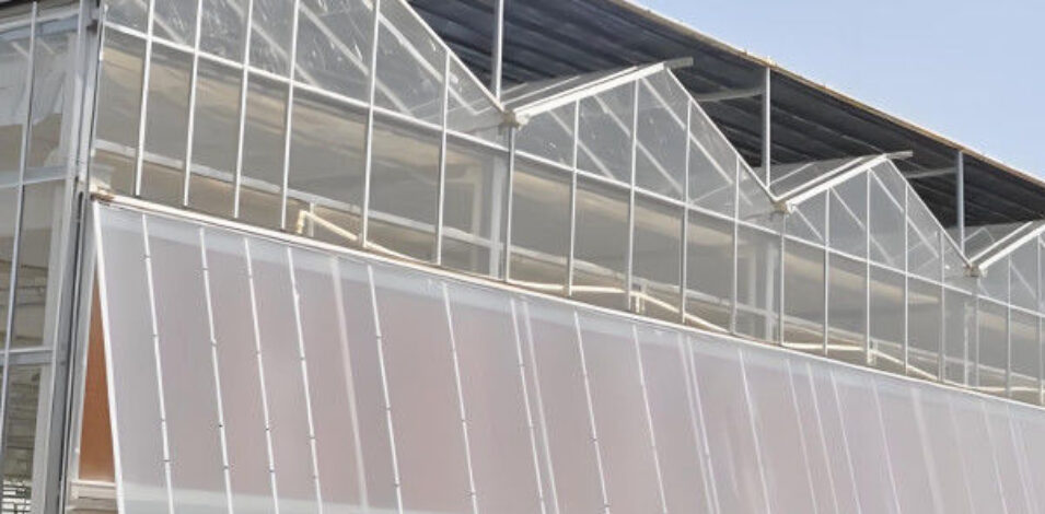 Smart Multi Span Venlo Glass Greenhouse Solar Photovoltaic Greenhouses Fruit Planting