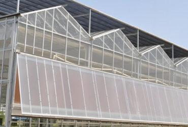 Smart Multi Span Venlo Glass Greenhouse Solar Photovoltaic Greenhouses Fruit Planting