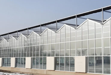Smart Multi Span Venlo Glass Greenhouse Solar Photovoltaic Greenhouses Fruit Planting