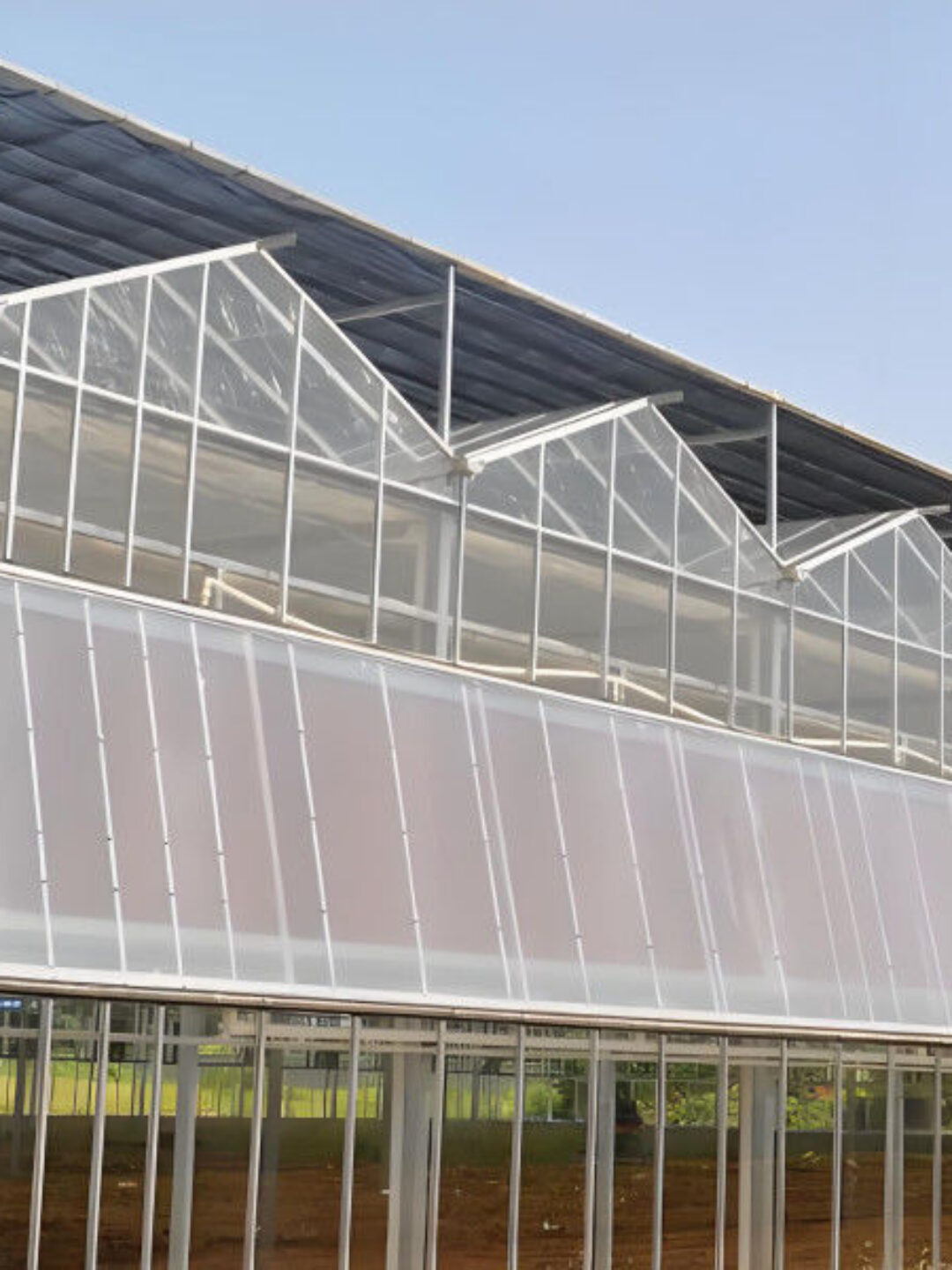 Smart Multi Span Venlo Glass Greenhouse Solar Photovoltaic Greenhouses Fruit Planting
