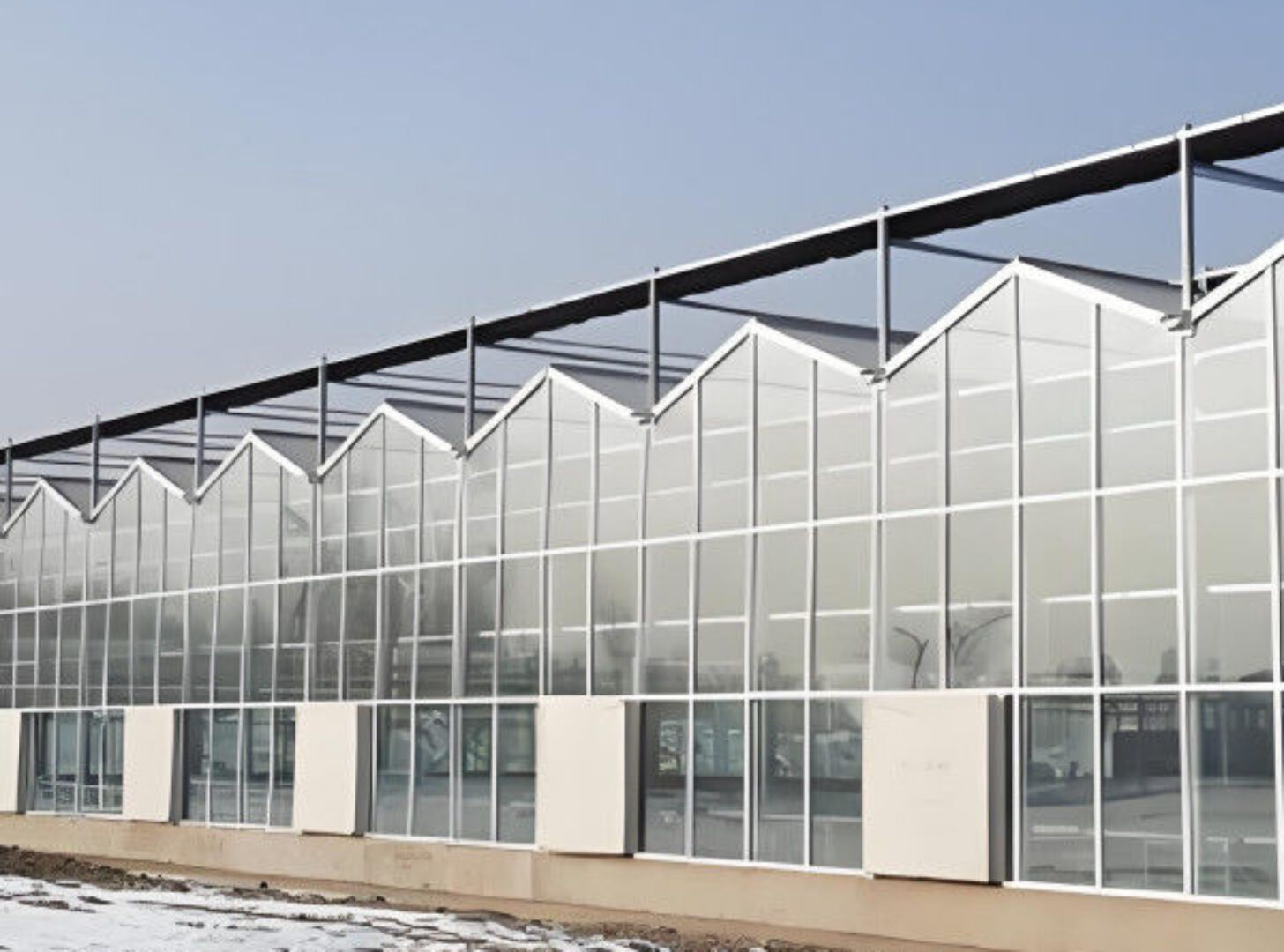 Smart Multi Span Venlo Glass Greenhouse Solar Photovoltaic Greenhouses Fruit Planting