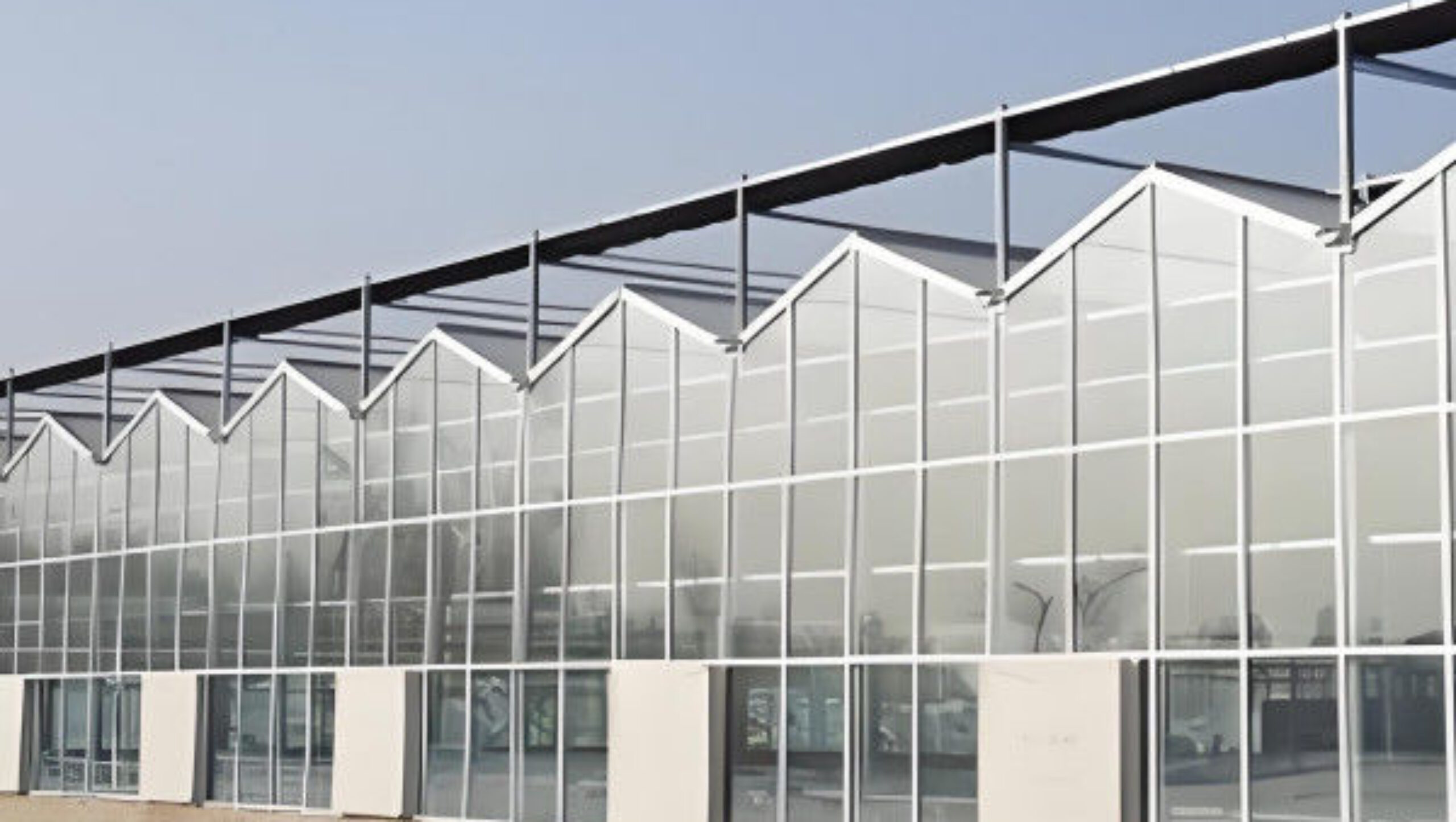 Smart Multi Span Venlo Glass Greenhouse Solar Photovoltaic Greenhouses Fruit Planting
