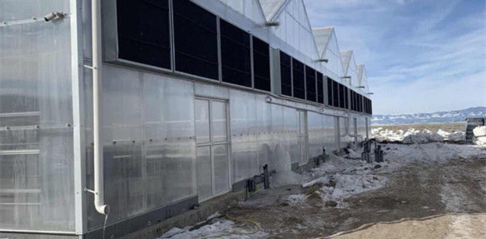 Snow Resistance Polycarbonate Film Greenhouse 100% Darkness Easy To Install