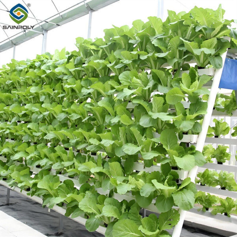 Soilless Culture Tomato Greenhouse With Nft Hydroponic System