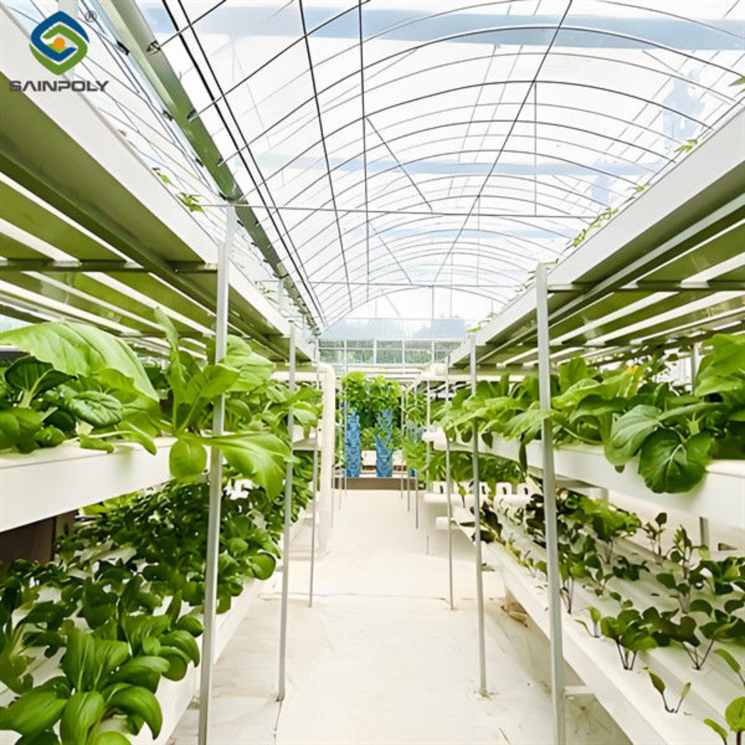 Soilless Culture Tomato Greenhouse With Nft Hydroponic System