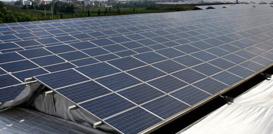 Solar Panel Tempered Glass Greenhouse Multi Span Energy Efficient