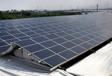Solar Panel Tempered Glass Greenhouse Multi Span Energy Efficient
