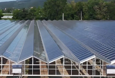 Solar Panel Tempered Glass Greenhouse Multi Span Energy Efficient