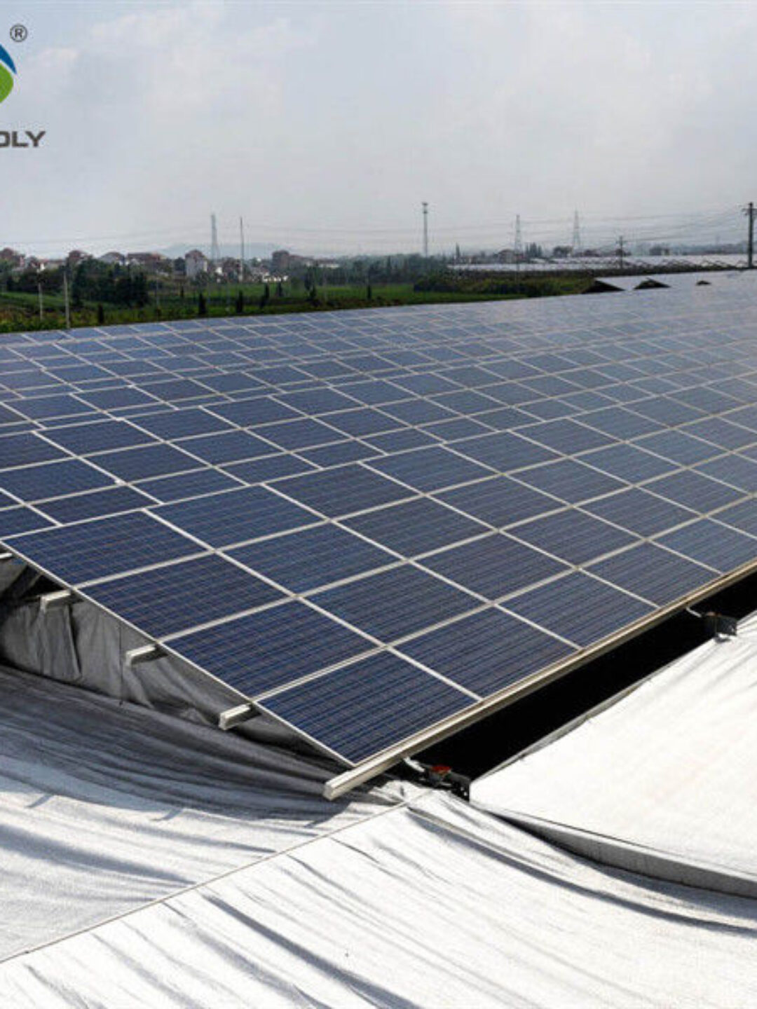 Solar Panel Tempered Glass Greenhouse Multi Span Energy Efficient