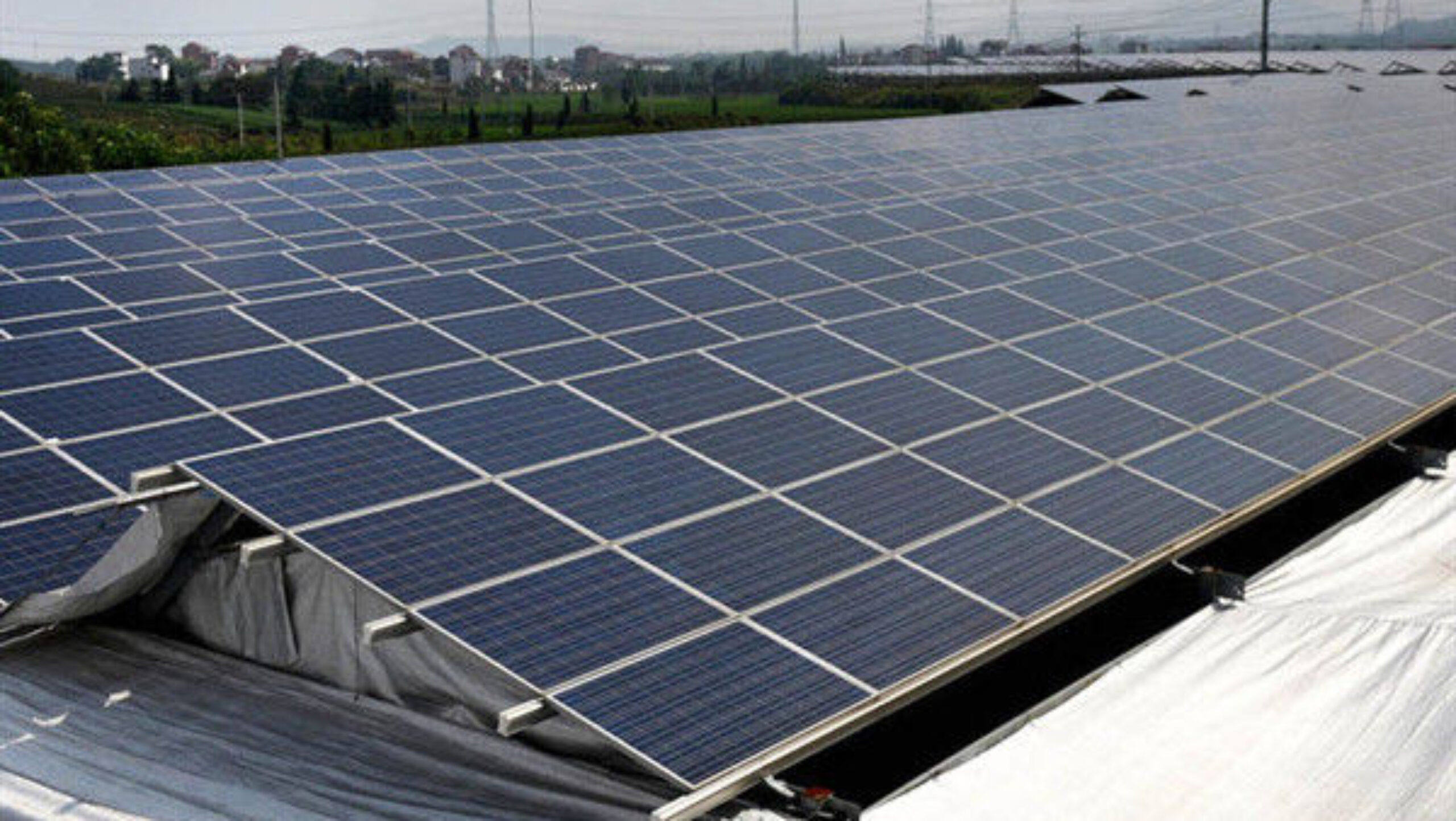Solar Panel Tempered Glass Greenhouse Multi Span Energy Efficient