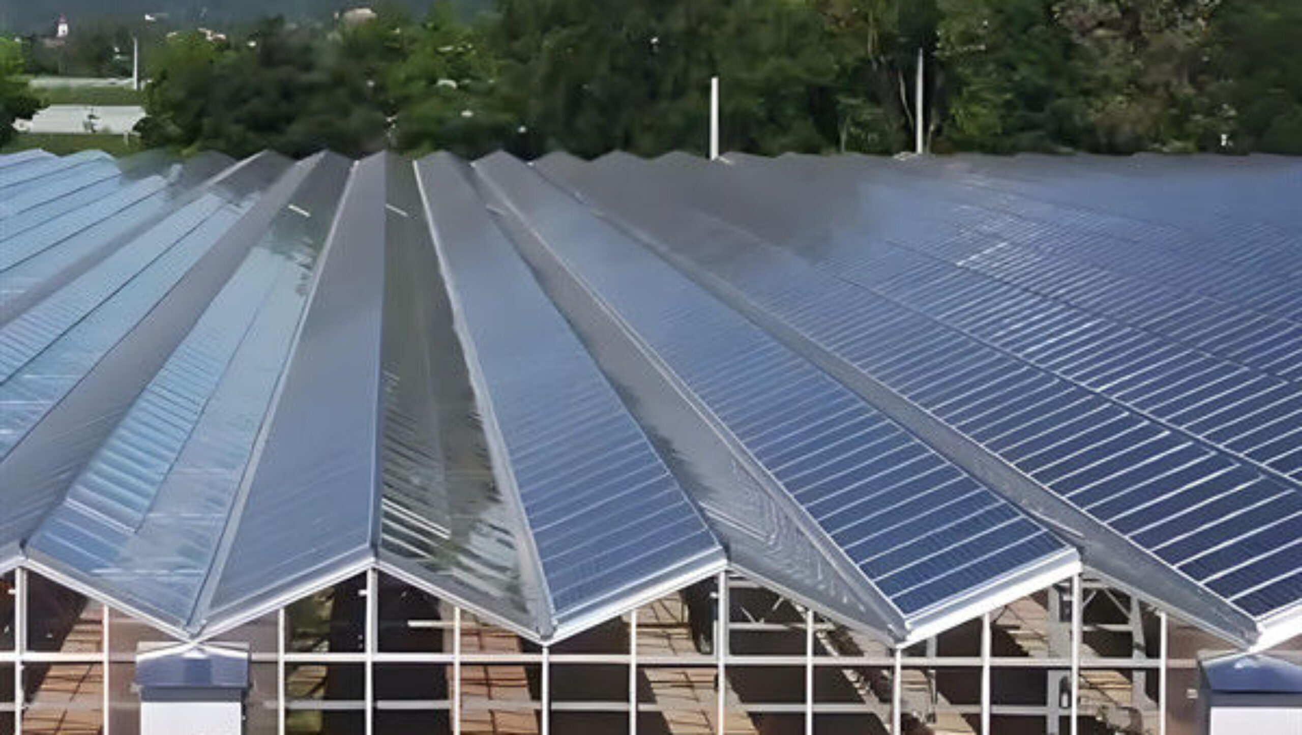 Solar Panel Tempered Glass Greenhouse Multi Span Energy Efficient