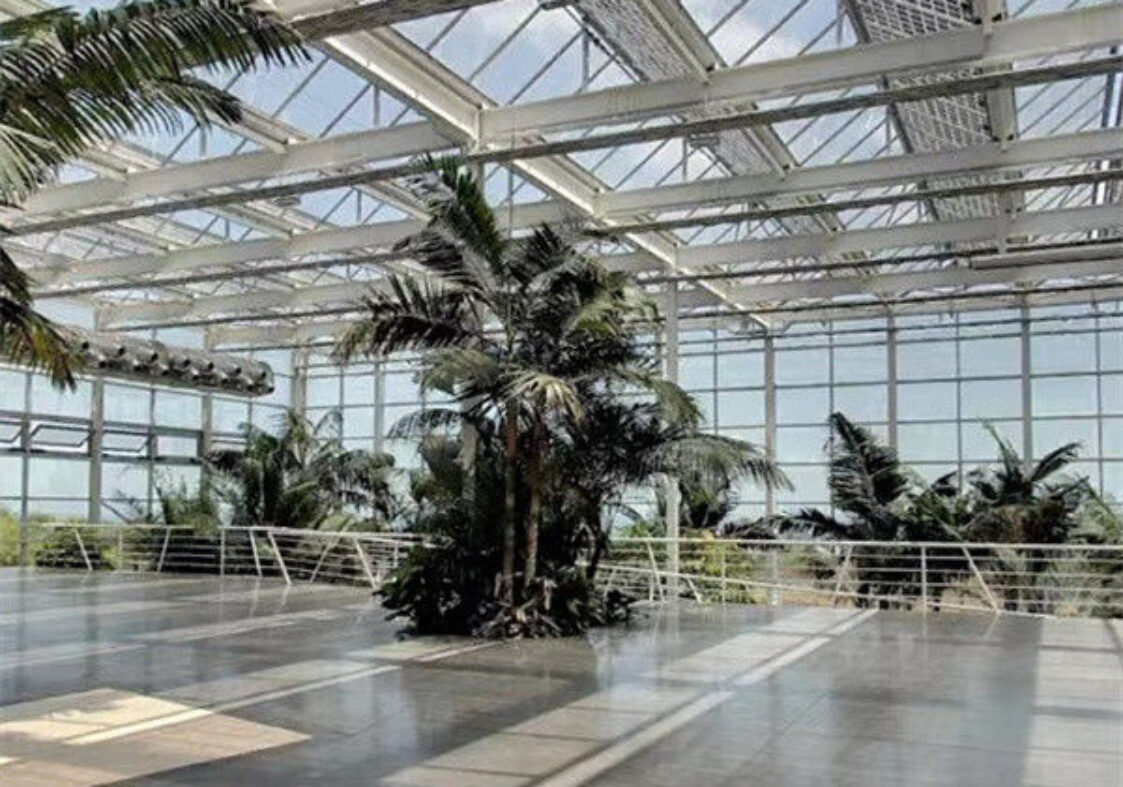 Solar Panel Tempered Glass Greenhouse Multi Span Energy Efficient