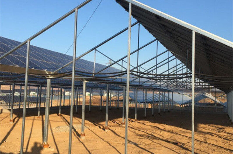 Solar Panel Tempered Glass Greenhouse Multi Span Energy Efficient