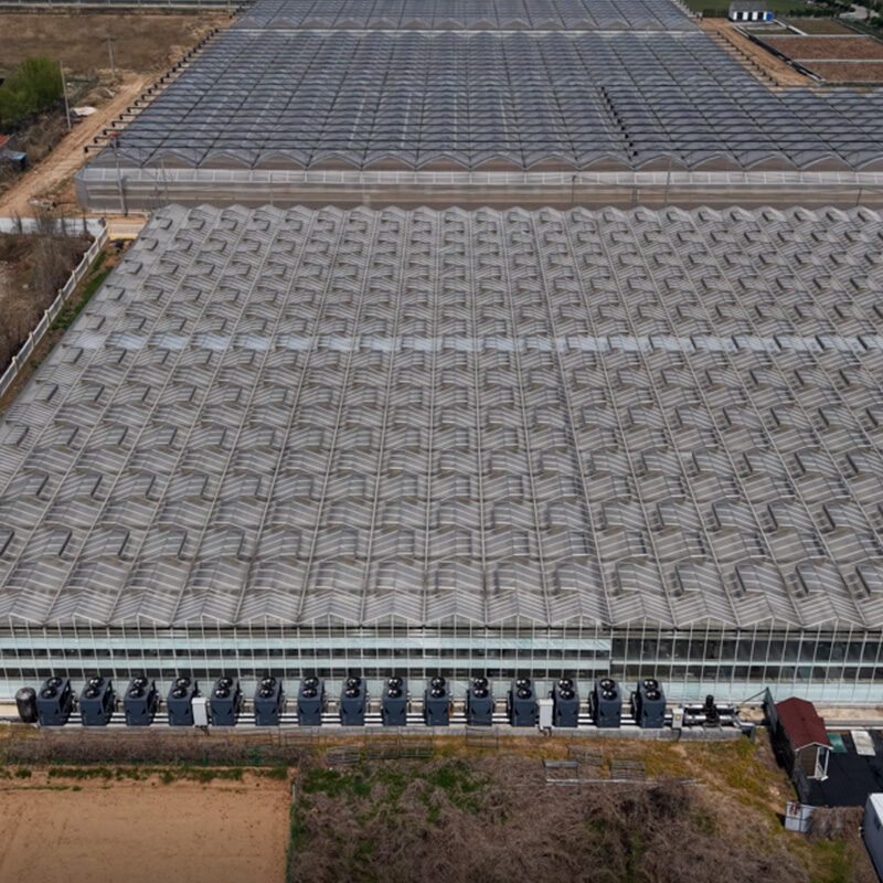 (Specific for Large Industrial Parks) Multi-System Integrated Commercial Multi-Span Hydroponic Greenhouse