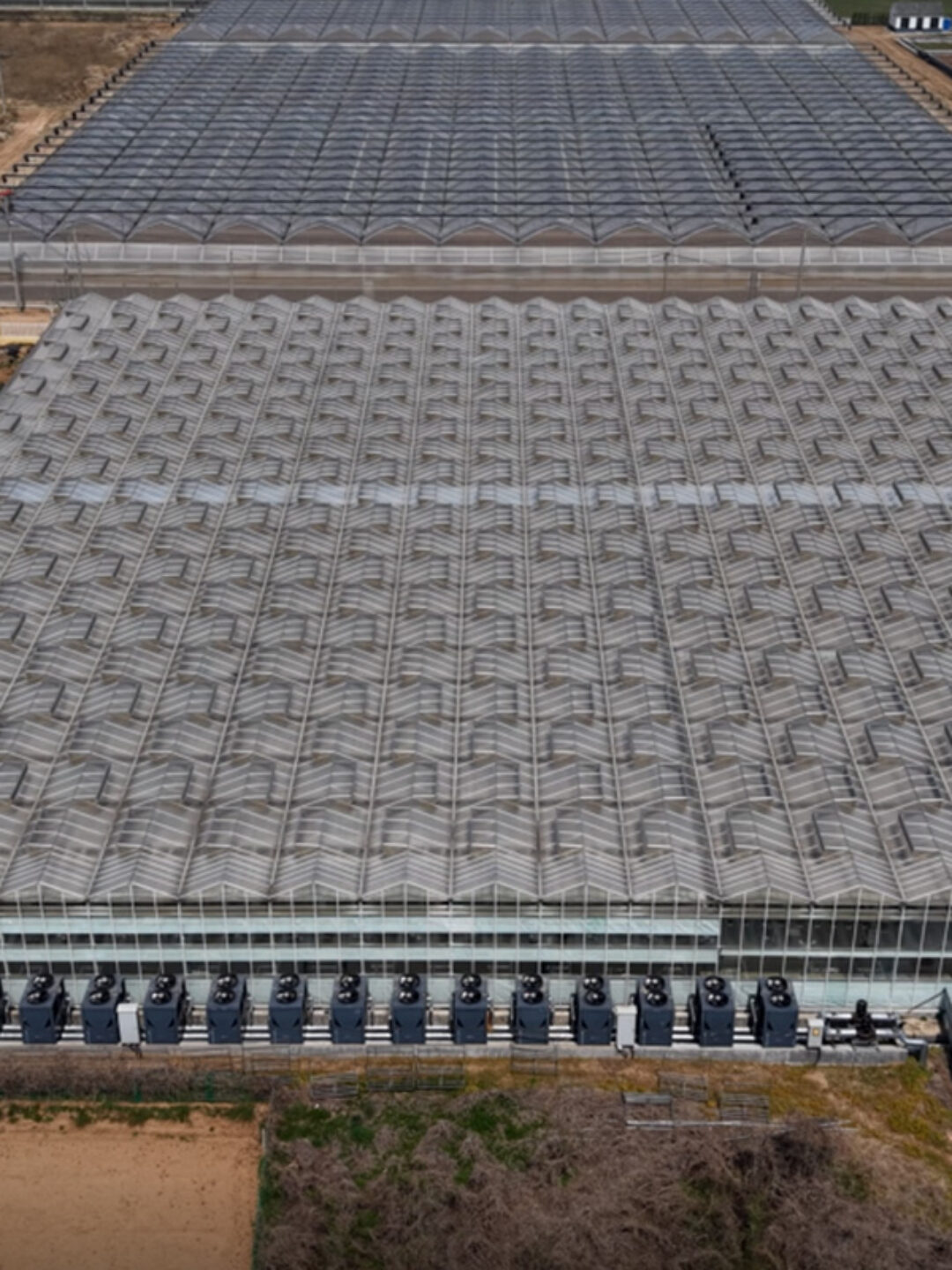 (Specific for Large Industrial Parks) Multi-System Integrated Commercial Multi-Span Hydroponic Greenhouse