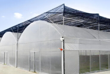 Stable Structure Agricultural Farming Greenhouse Multi Span For Plant Growing