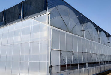 Stable Structure Agricultural Farming Greenhouse Multi Span For Plant Growing
