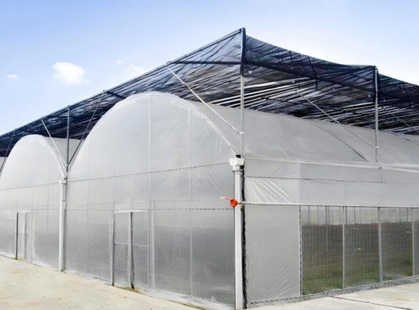 Stable Structure Agricultural Farming Greenhouse Multi Span For Plant Growing