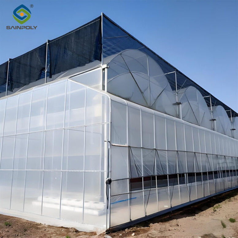 Stable Structure Agricultural Farming Greenhouse Multi Span For Plant Growing