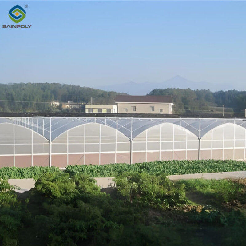 Stable Structure Agricultural Multi Span Greenhouse 30-100m Length