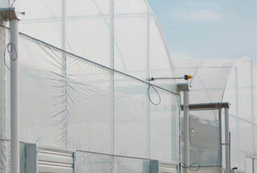 Stable Structure Agricultural Multi Span Greenhouse 30-100m Length