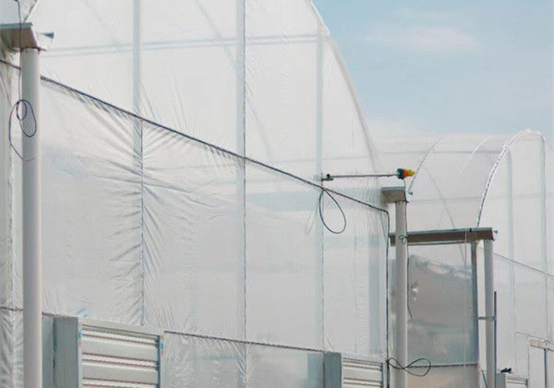 Stable Structure Agricultural Multi Span Greenhouse 30-100m Length