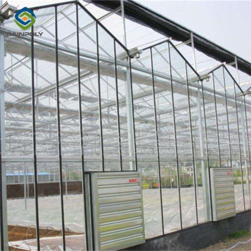 Steel Frame Dutch Venlo Greenhouse Tempered Glass Greenhouse For Planting Tomatoes