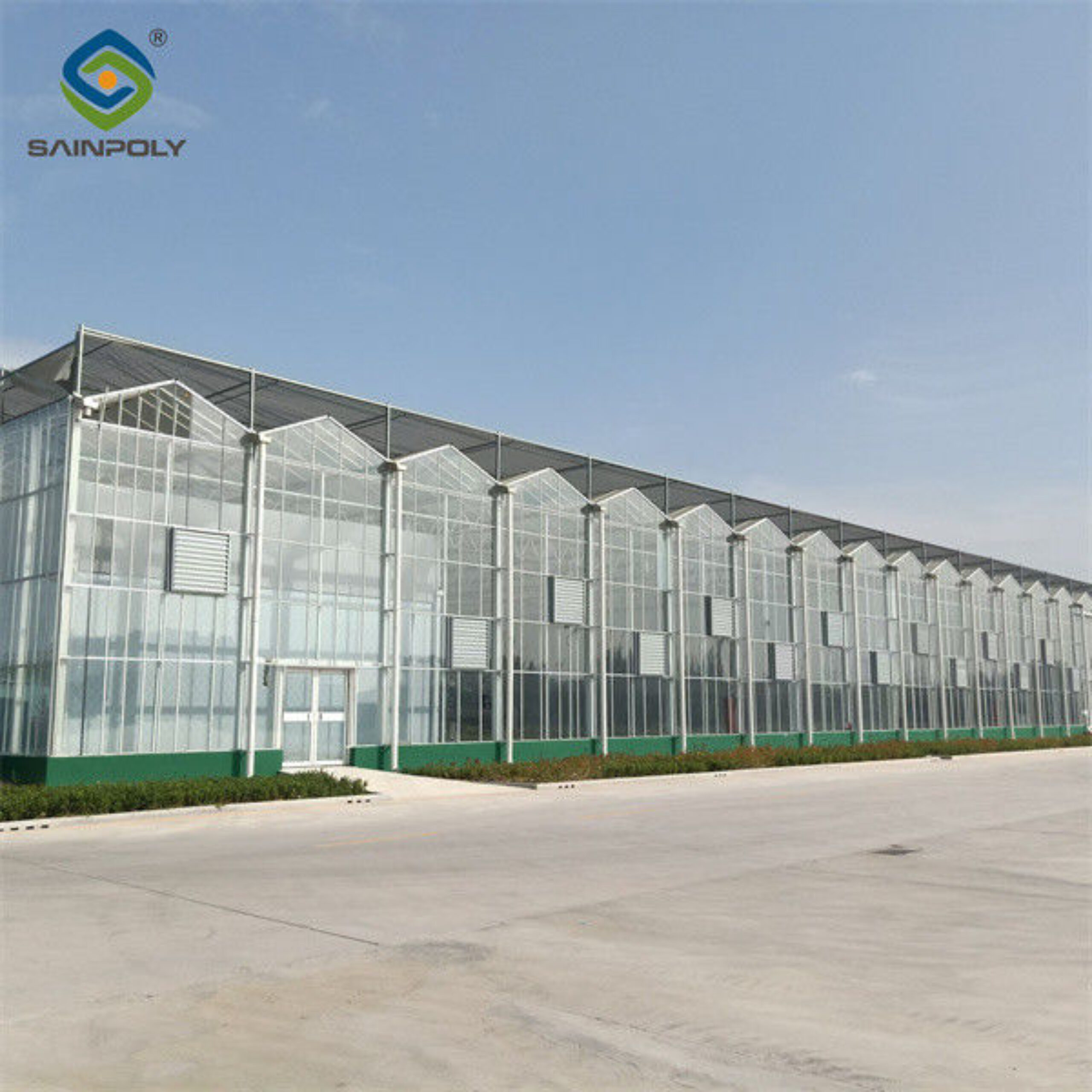 Steel Frame Dutch Venlo Greenhouse Tempered Glass Greenhouse For Planting Tomatoes