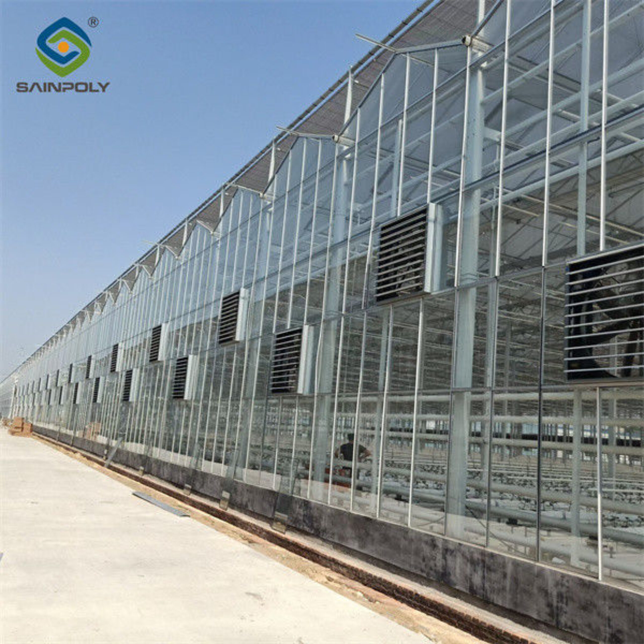 Steel Frame Dutch Venlo Greenhouse Tempered Glass Greenhouse For Planting Tomatoes