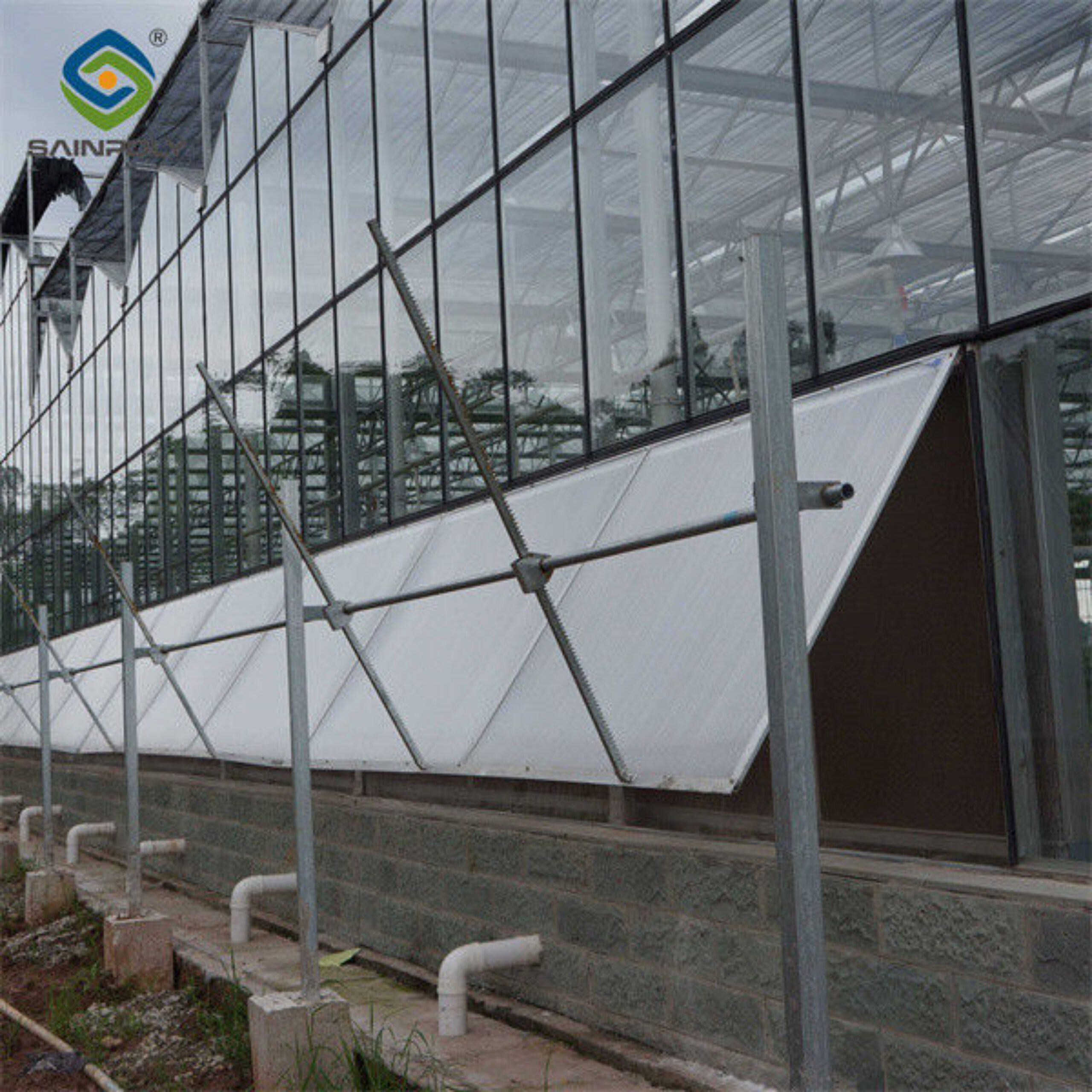Steel Frame Dutch Venlo Greenhouse Tempered Glass Greenhouse For Planting Tomatoes