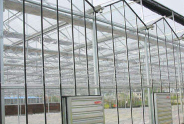 Steel Frame Dutch Venlo Greenhouse Tempered Glass Greenhouse For Planting Tomatoes