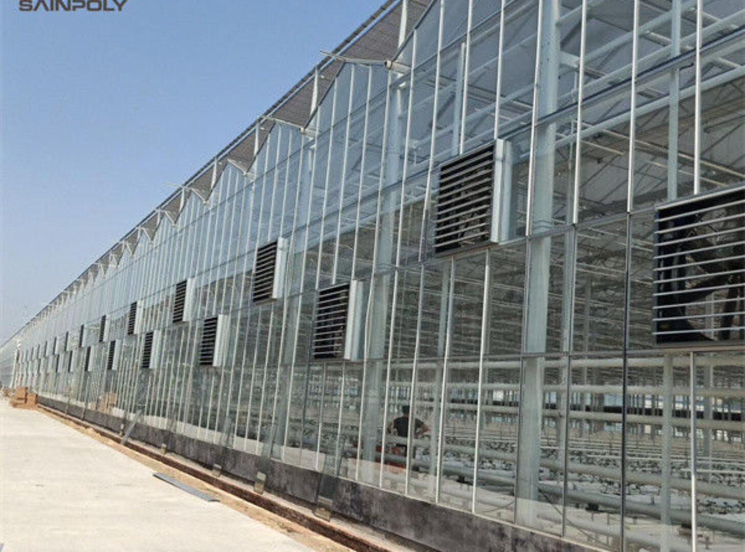 Steel Frame Dutch Venlo Greenhouse Tempered Glass Greenhouse For Planting Tomatoes