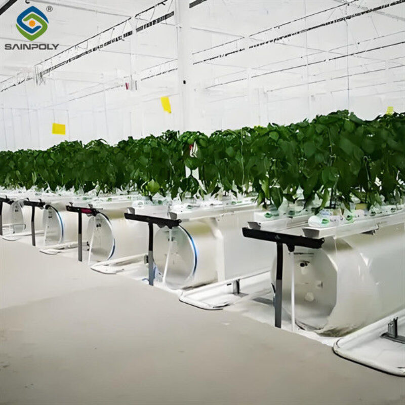 Steel Frame Smart Hydroponic Greenhouse For Tomato Strawberry Planting
