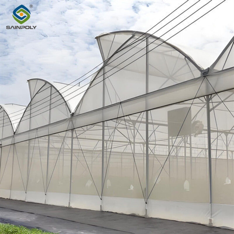 Steel Pipe Structure Gothic Roof Greenhouse Agricultural High Performance