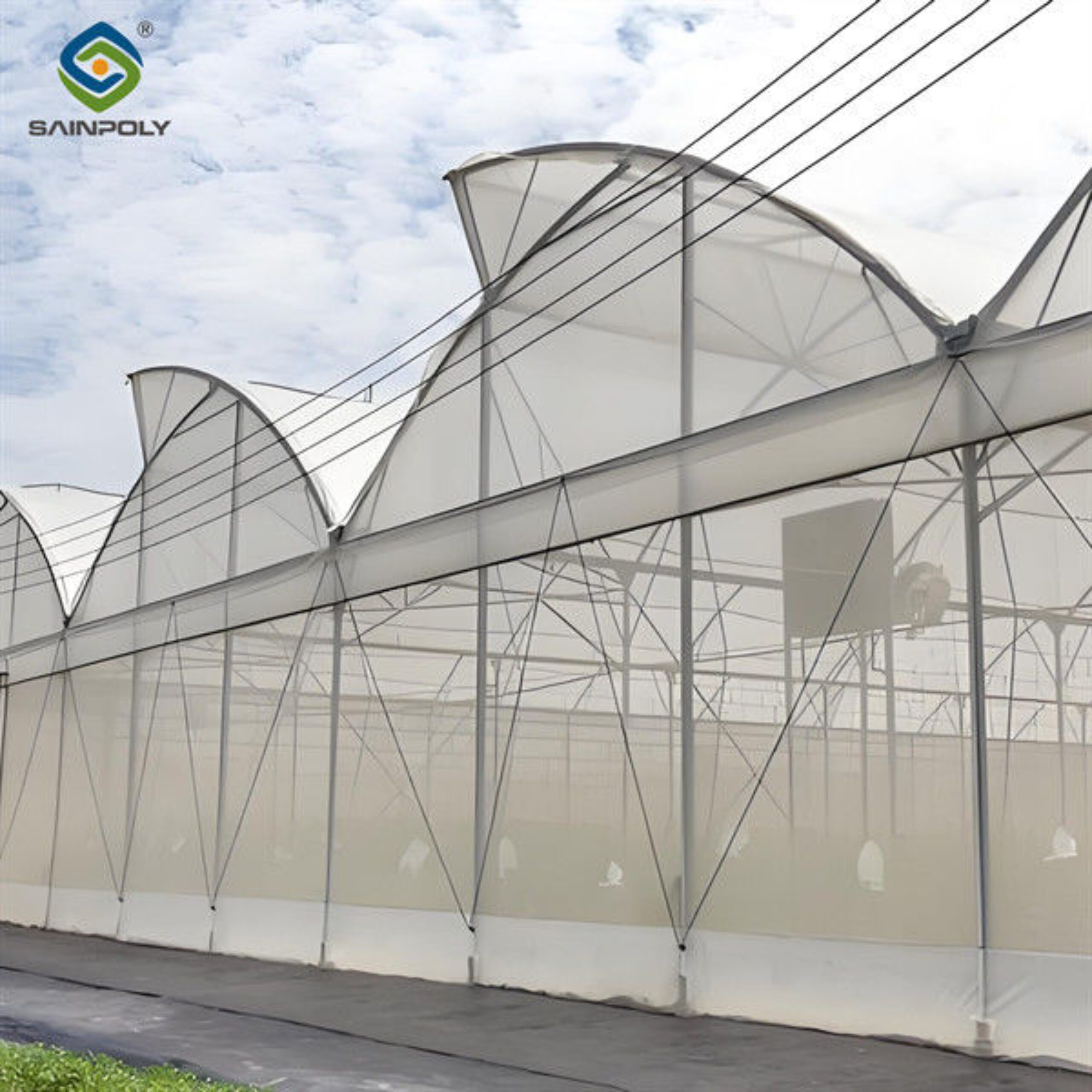 Steel Pipe Structure Gothic Roof Greenhouse Agricultural High Performance