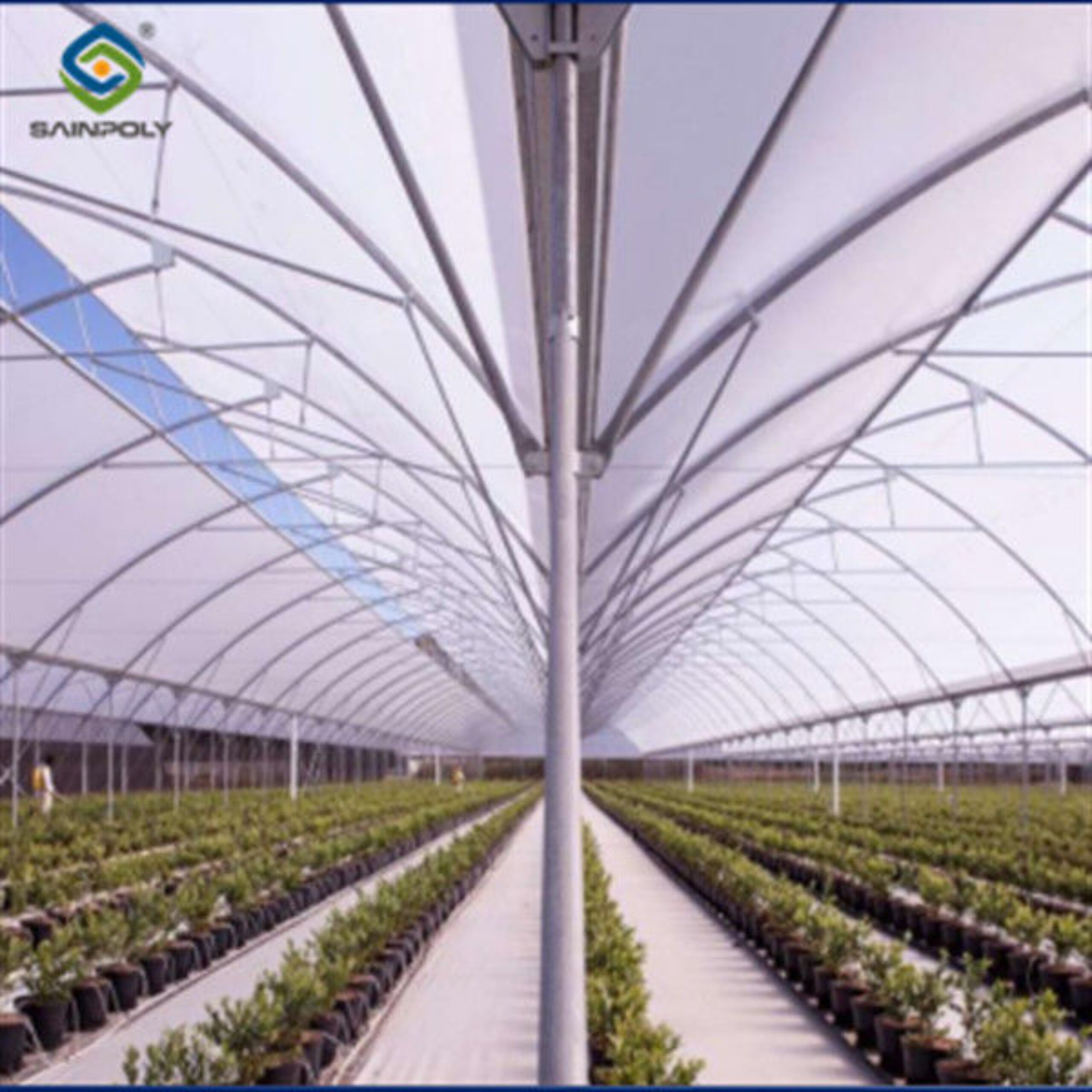 Steel Pipe Structure Gothic Roof Greenhouse Agricultural High Performance