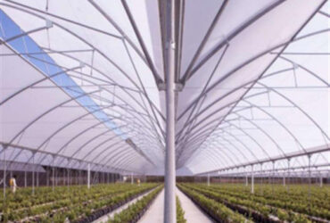 Steel Pipe Structure Gothic Roof Greenhouse Agricultural High Performance