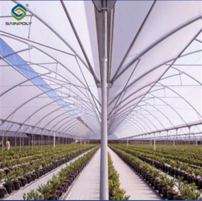 Steel Pipe Structure Gothic Roof Greenhouse Agricultural High Performance