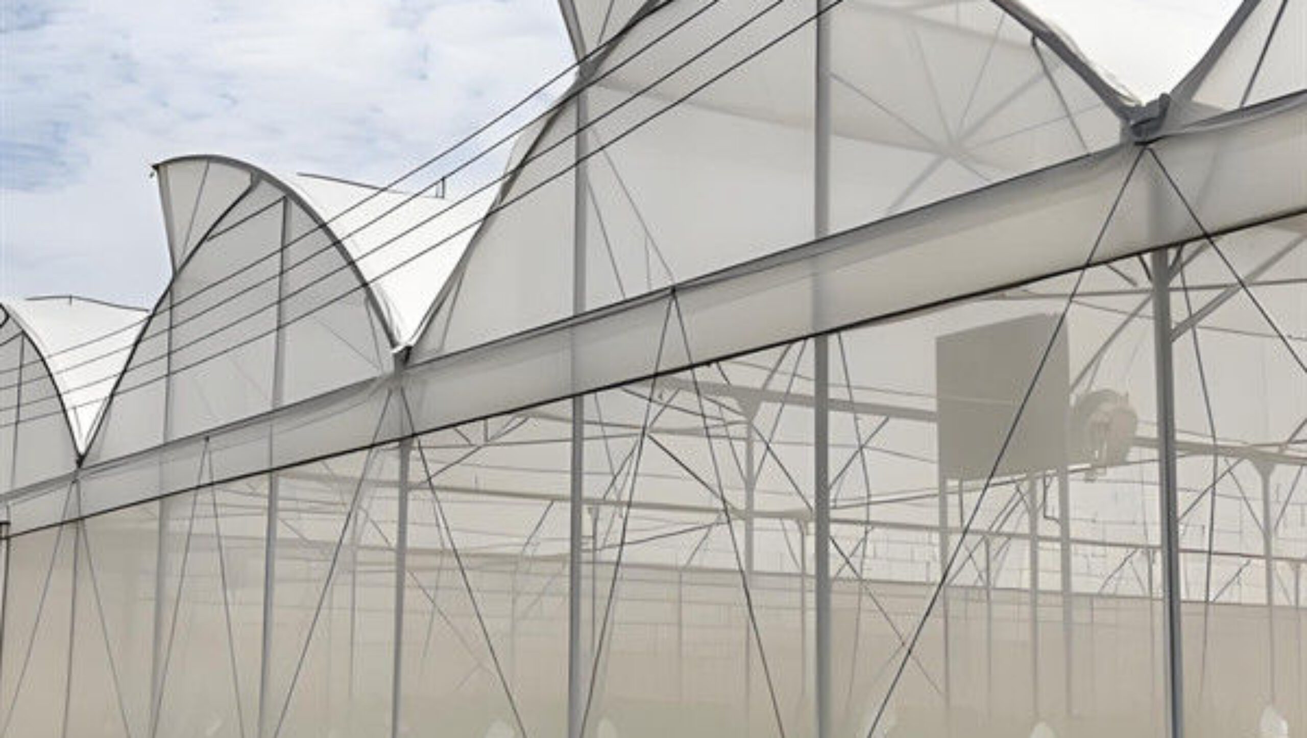 Steel Pipe Structure Gothic Roof Greenhouse Agricultural High Performance