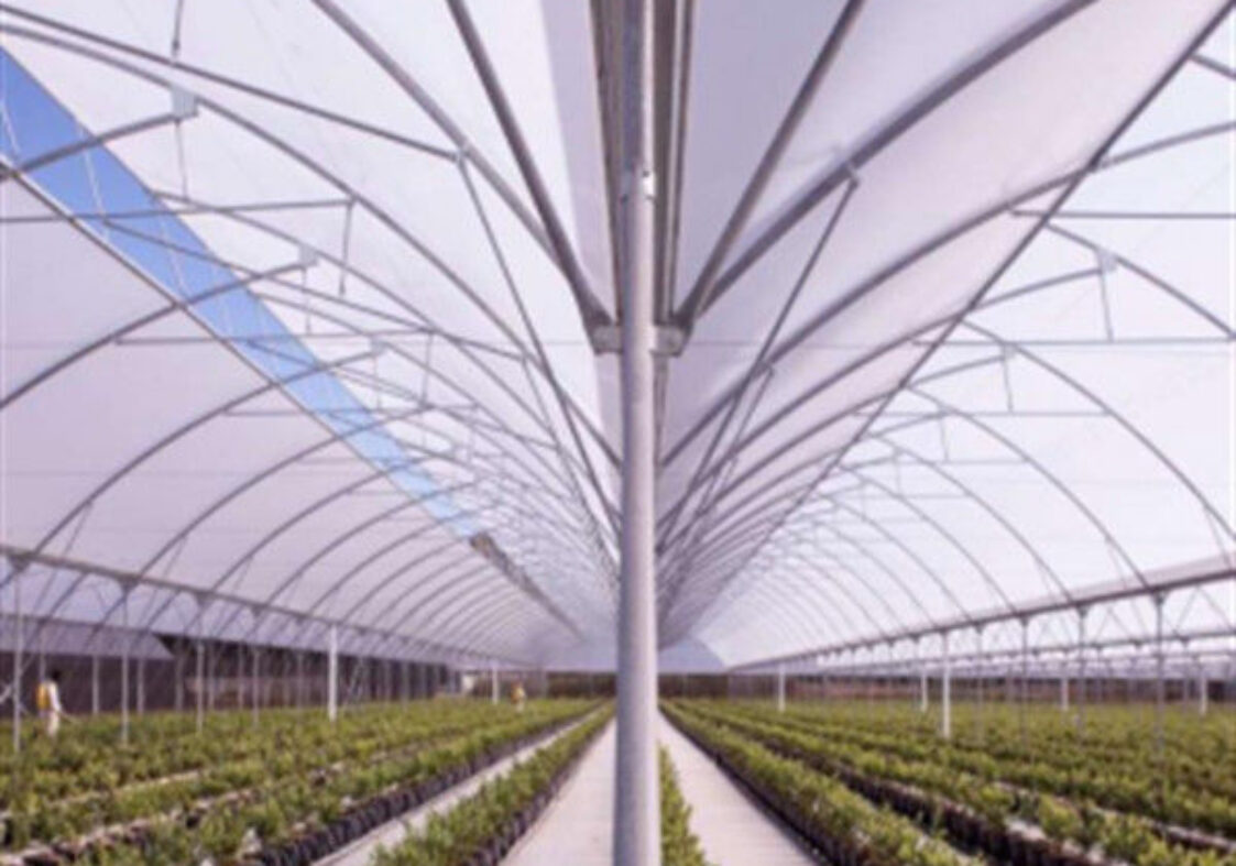 Steel Pipe Structure Gothic Roof Greenhouse Agricultural High Performance