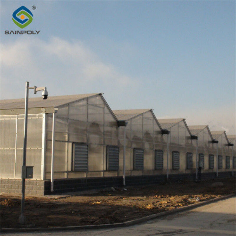 Strong Metal Frame Greenhouse Automatic Systems Solar Energy Green House