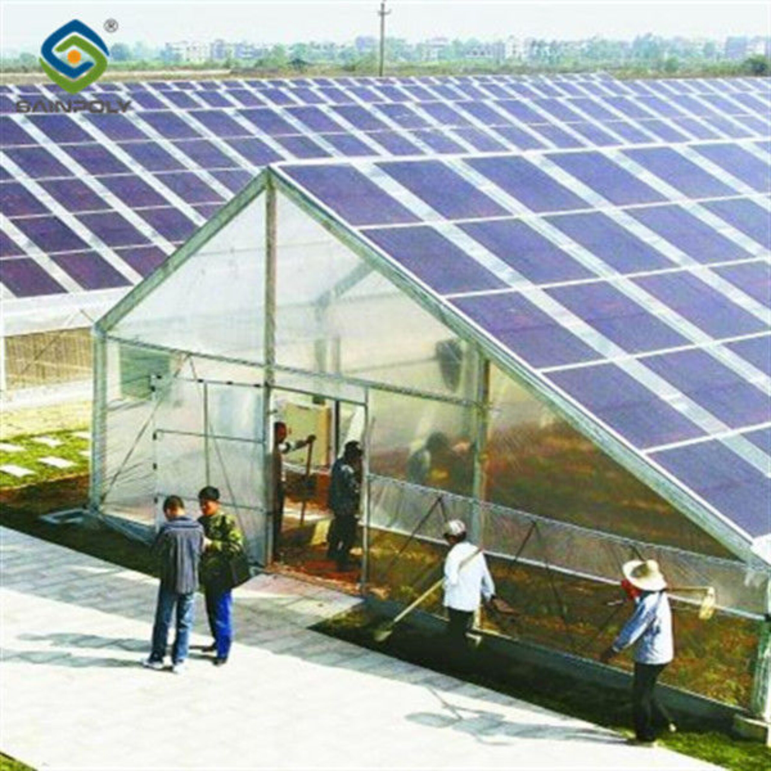 Strong Metal Frame Greenhouse Automatic Systems Solar Energy Green House
